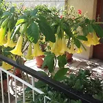 Sevelj Apartament
