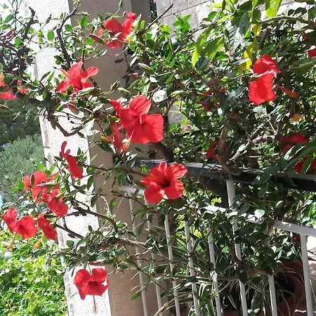 Sevelj Appartement Tučepi