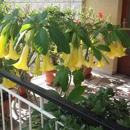 Sevelj Apartament